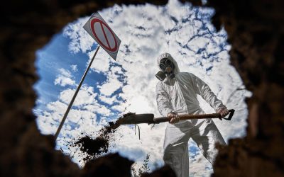 Crickets Control in Queens NYC: How to Prevent and Eliminate Cricket Infestations