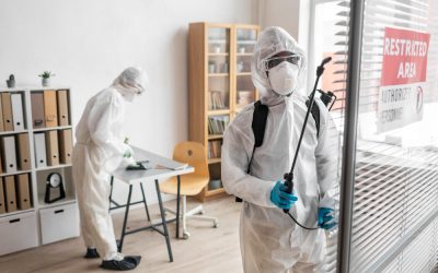 Top Pest Control Services in Queens NYC for Effective Results