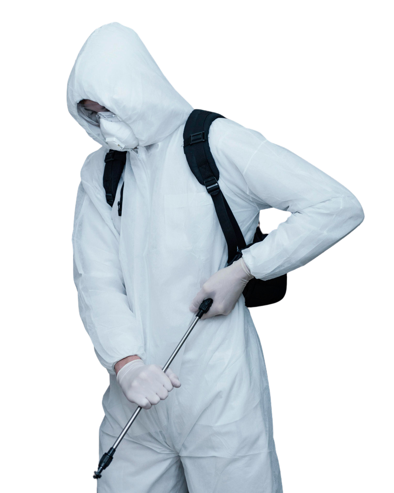 Untitled design (24)