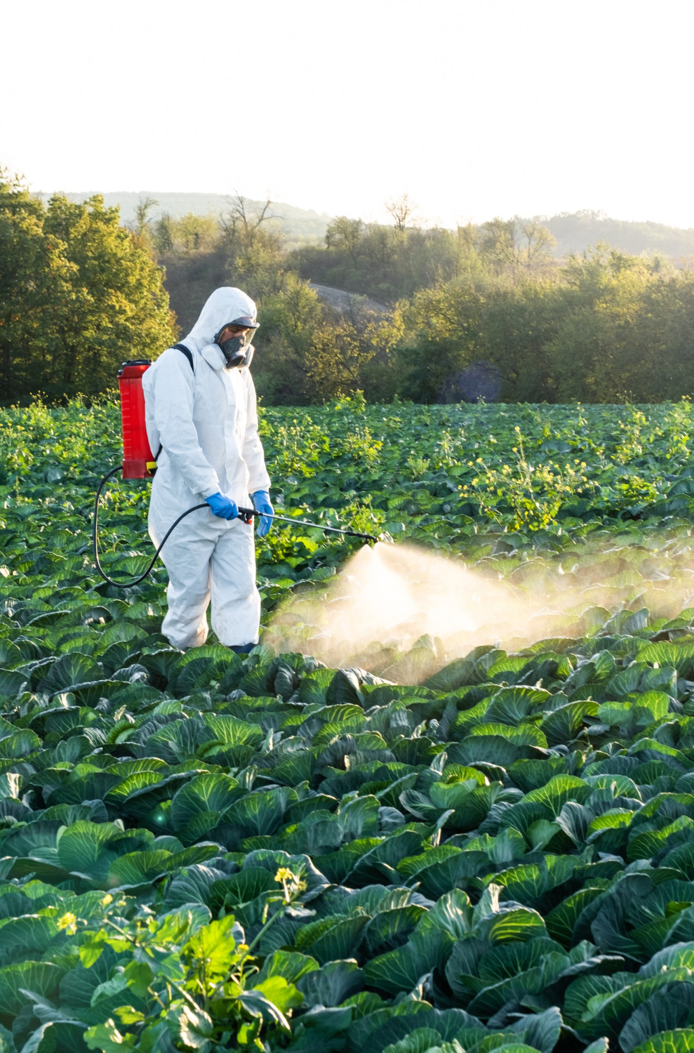 farmer-spraying-pesticide-field-mask-harvest-protective-chemical (1)